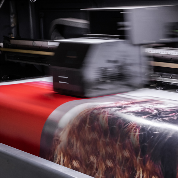 Print & Signage